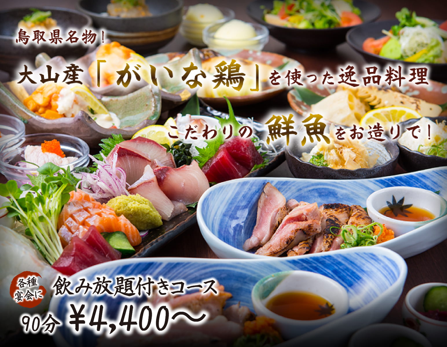 鳥取県名物！大山産「がいな鶏」を使った逸品料理 こだわりの鮮魚をお造りで！