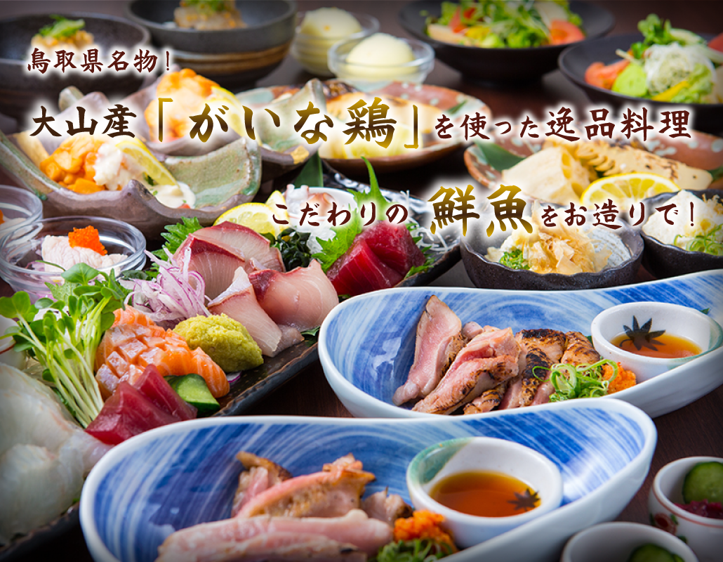 鳥取県名物！大山産「がいな鶏」を使った逸品料理 こだわりの鮮魚をお造りで！
